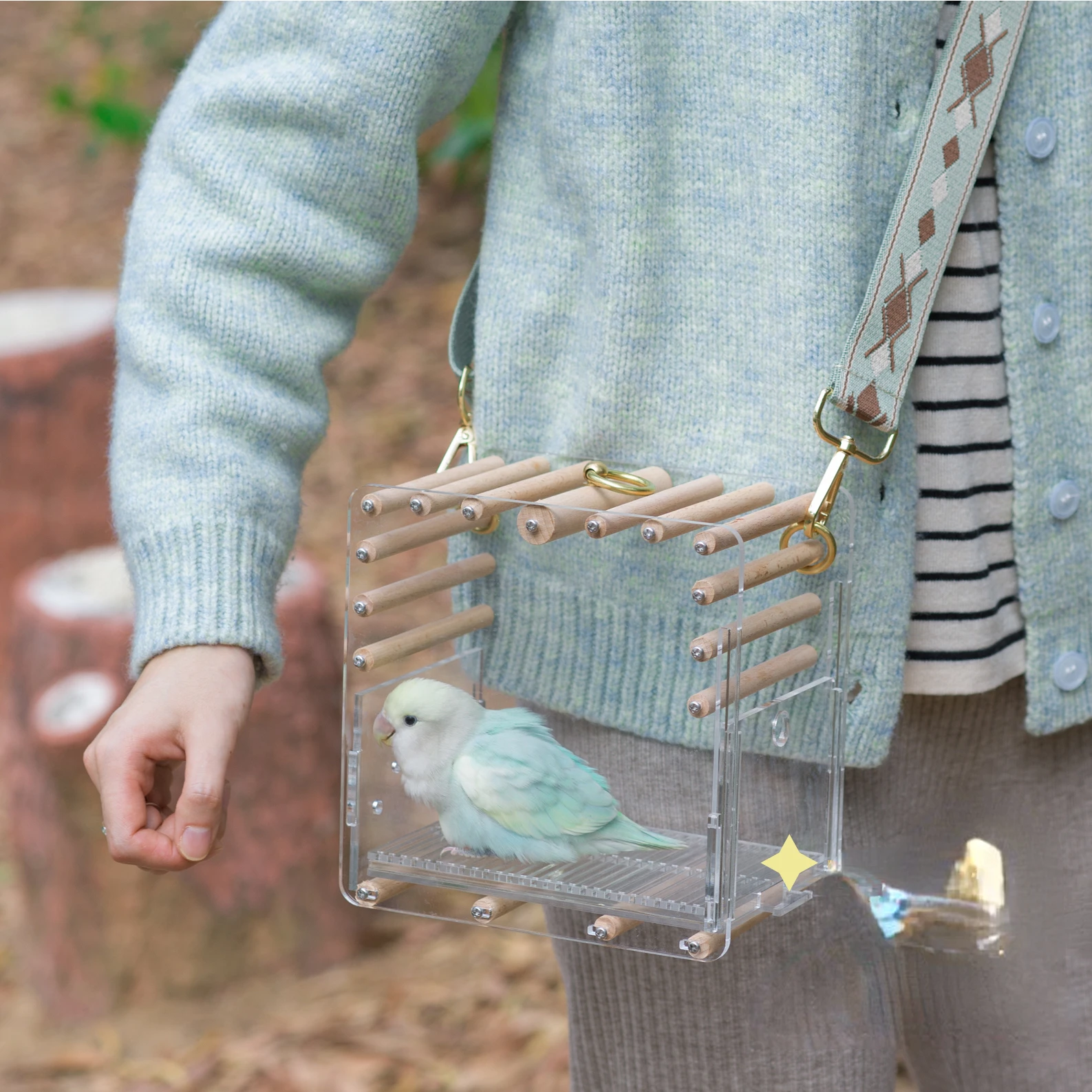 

【 Transparent Bird Cage 】 Wooden Parrot Takeout Portable Peony Xuan Phoenix Tiger Skin