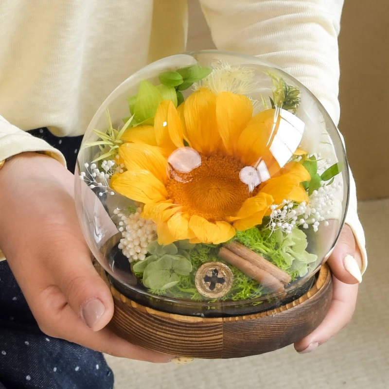 Round Glass Dome Vase Home Decoration EVA Antique Base Transparent Dustproof Cover Different Size Friend Favor Gift Glass Cloche