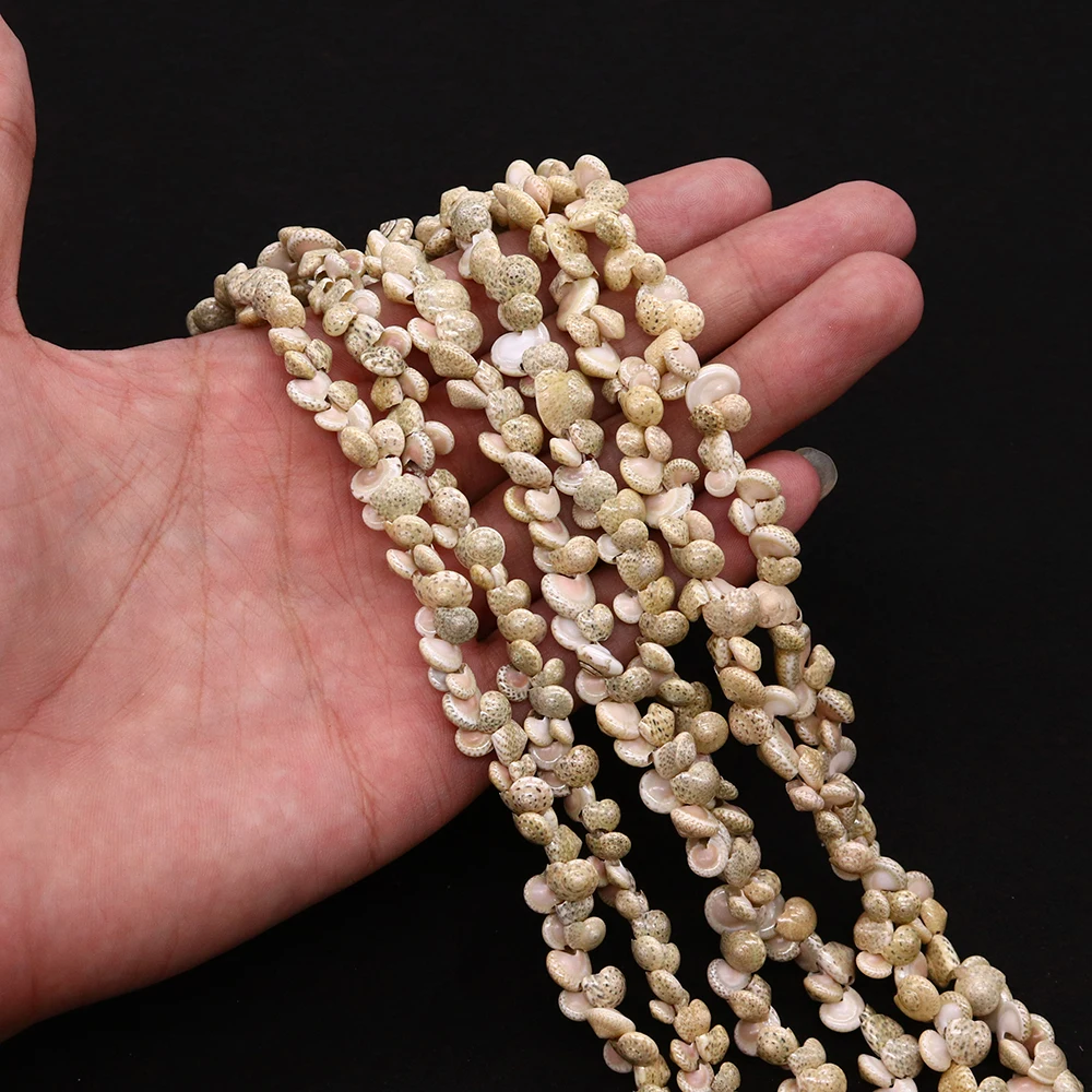 

Natural Sea Conch Shell Necklace Beads Cowrie Snail Shell Beads for Jewelry Making DIY Charms Bracelet Fashion Accessories 80cm
