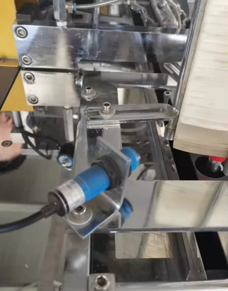 3-Station Thermoforming Machine: Does It Actually Deliver Higher Output?