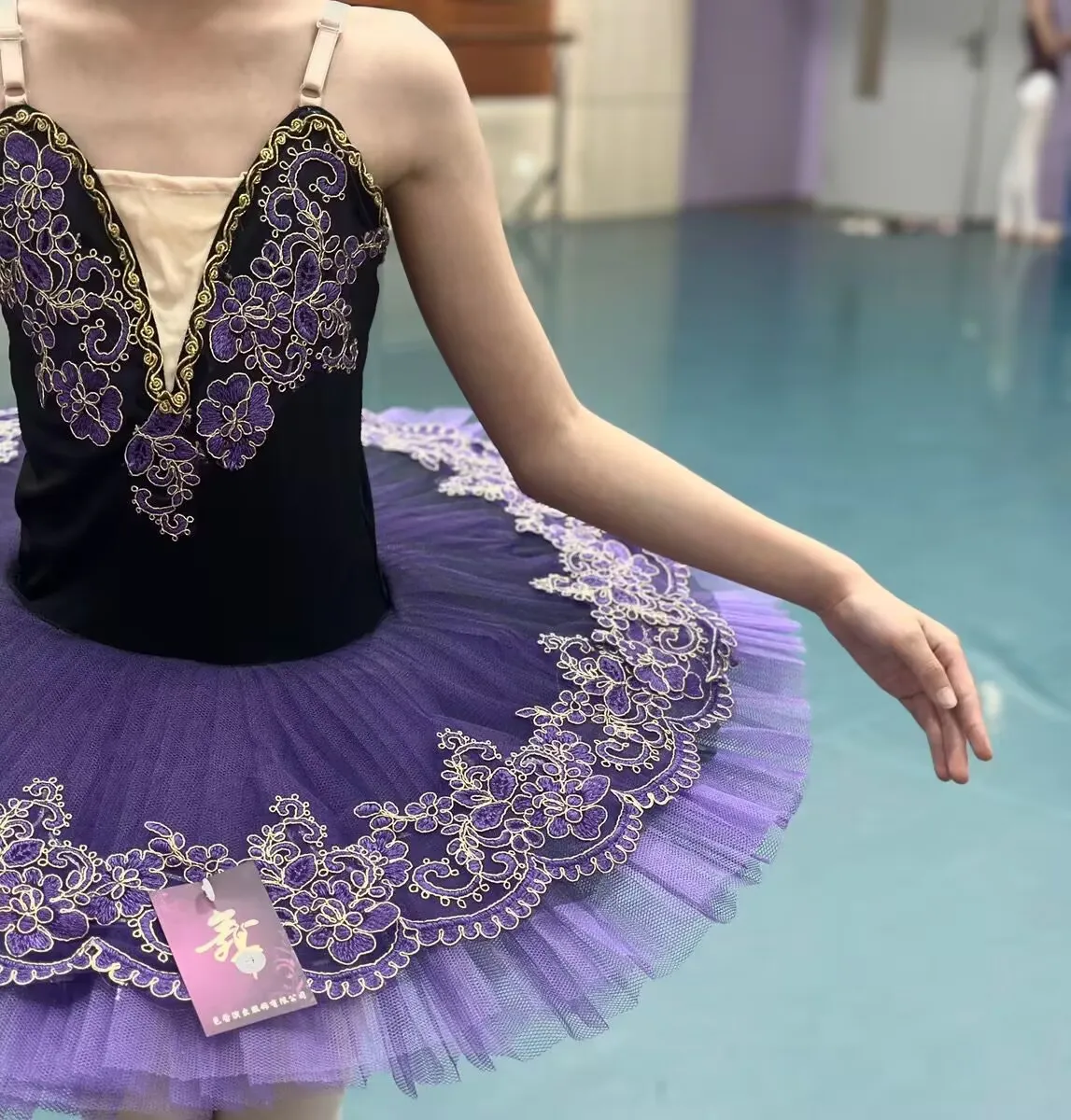 Tutu de Ballet Professionnel Violet Foncé pour Fille et Femme, Robe de Performance, Costumes de brevFzLake, la Belle au Bois Dormant