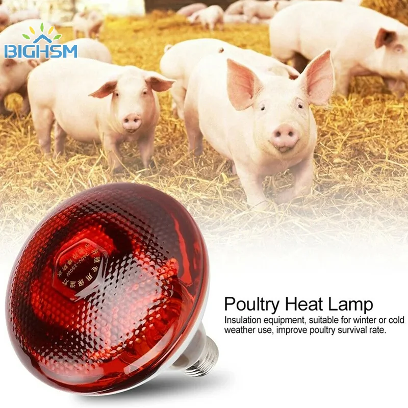 275W Poultry Infrared Heat Lamp Waterproof Anti-Explosion Thickened Light Bulbs ​For Piglet Chicken Duck Birds E27 Heating Lamp