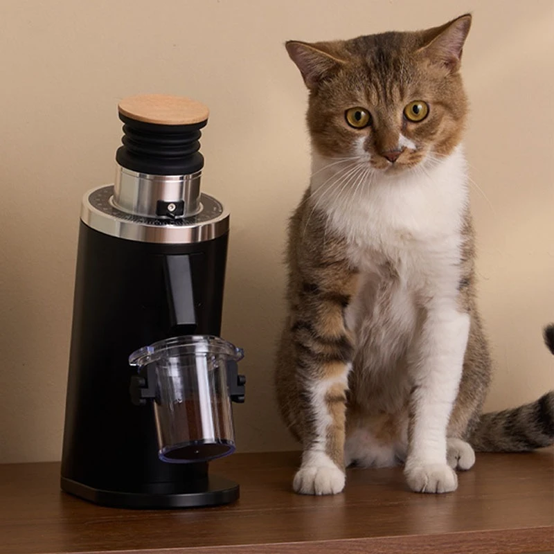 DF54P Professional Electric Coffee Grinder | Flat Burr, Single Dose, SOE & Pour Over Optimized