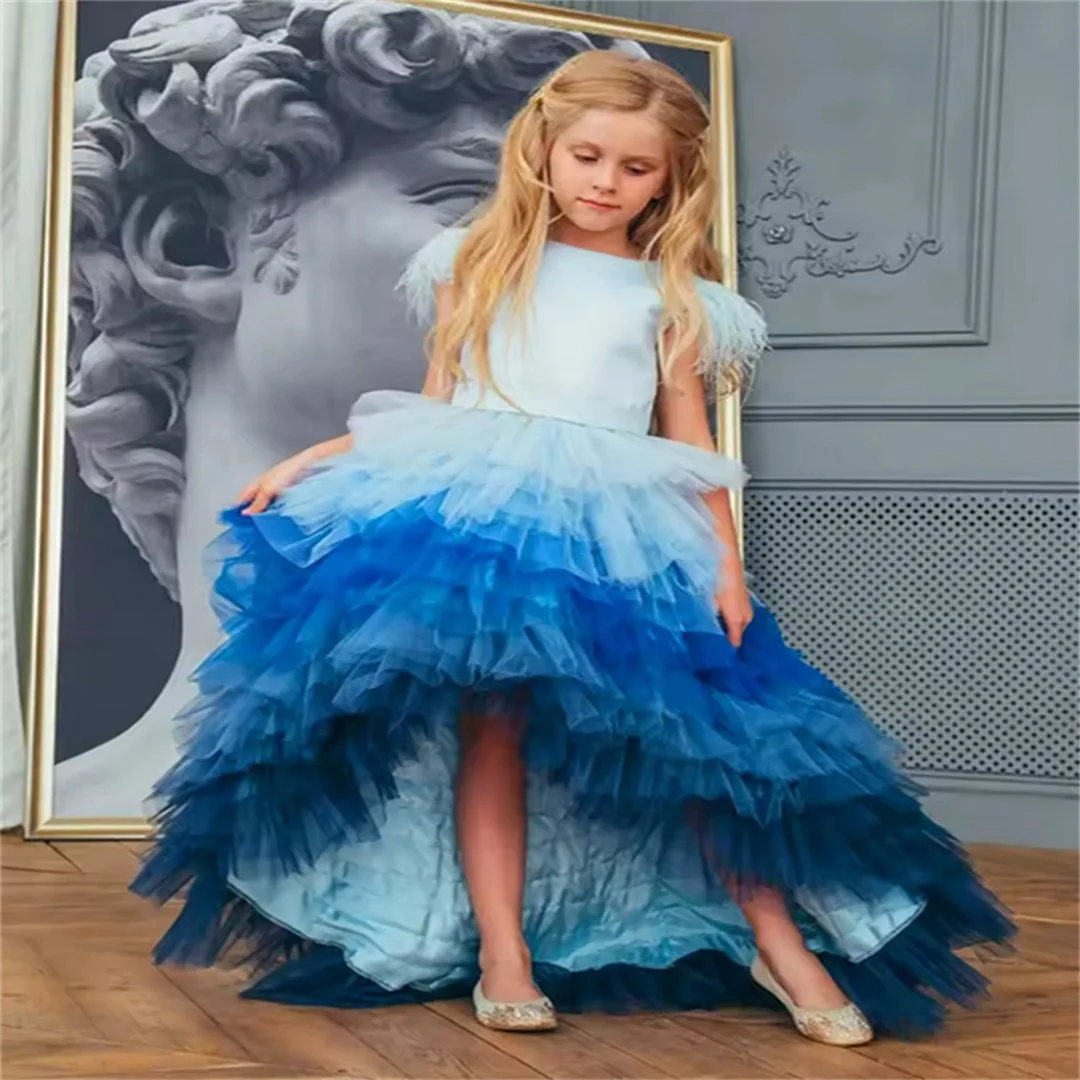 Gorgeous Tulle Lace Printed Feather First Communion Dresses Kids Surprise Birthday Present Flower Girl Dress