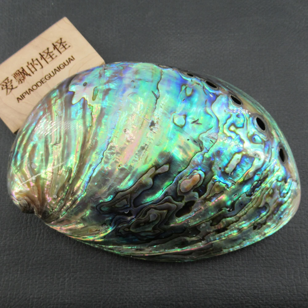 

APDGG No074 1 Pc Big Natural Green Abalone shell Pendant Jewelry making accessories