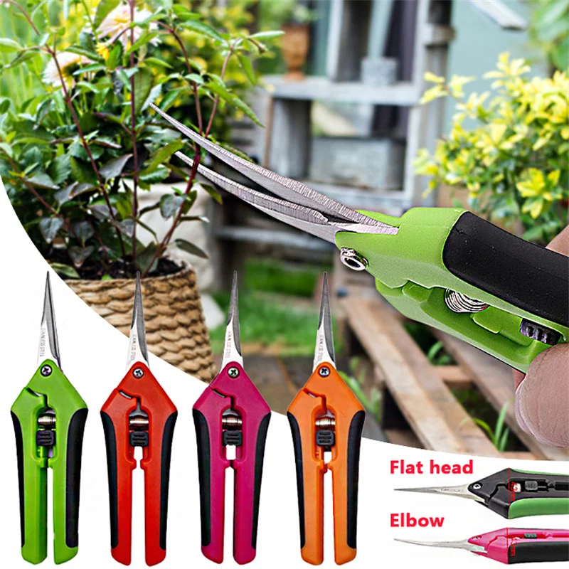 6.5 Inch Professional Pruning Shears Garden Sharp Scissors with Straight Curved Stainless Steel Blades for Plants Bonsai Flowers