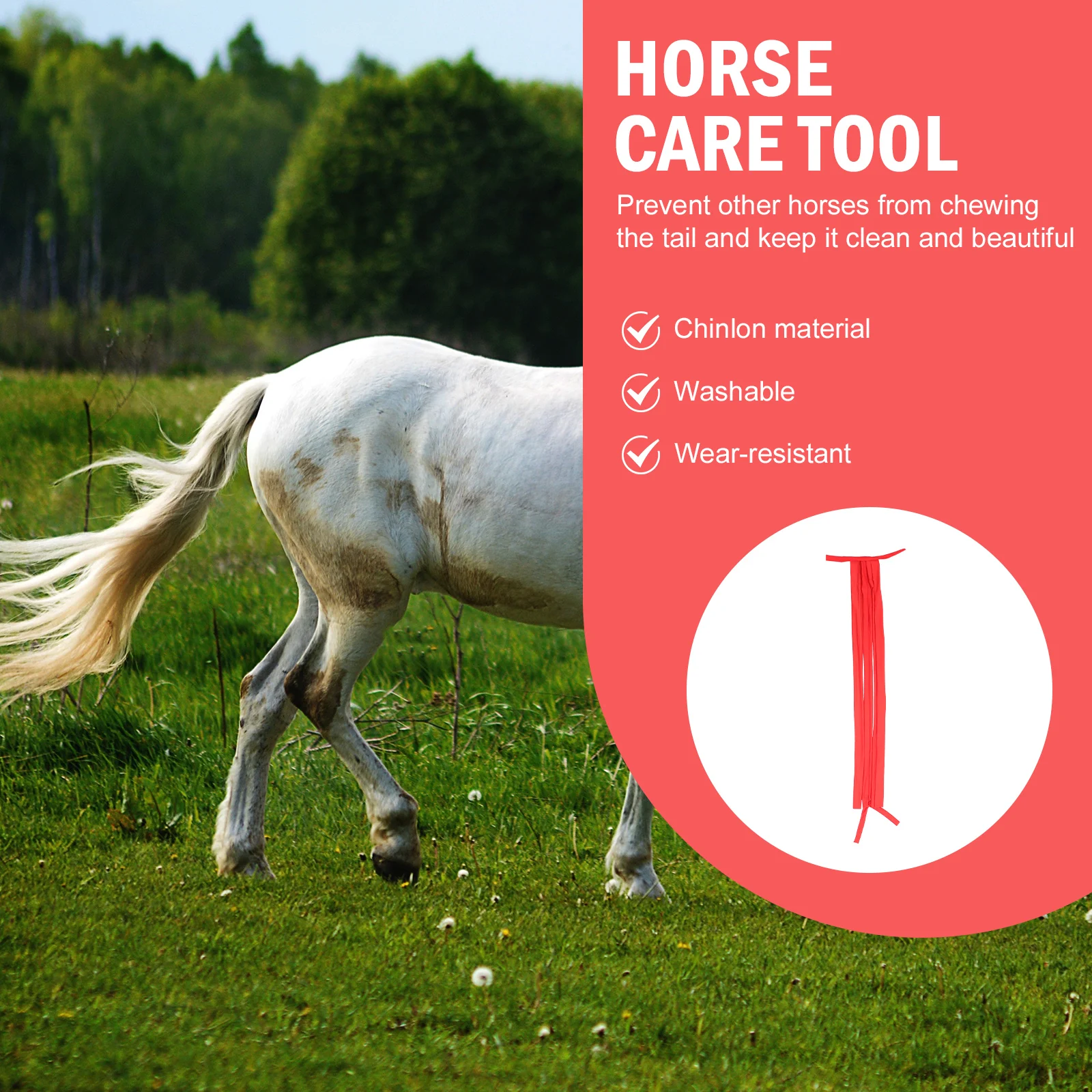 Рисунок 2 - Защитная пленка для конского хвоста