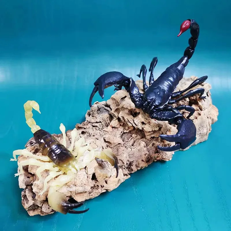 Original Bandai Big Biological Map Desert Scorpion Artificial Insect Gashapon Animal Action Figure Model Toy Gift Collection