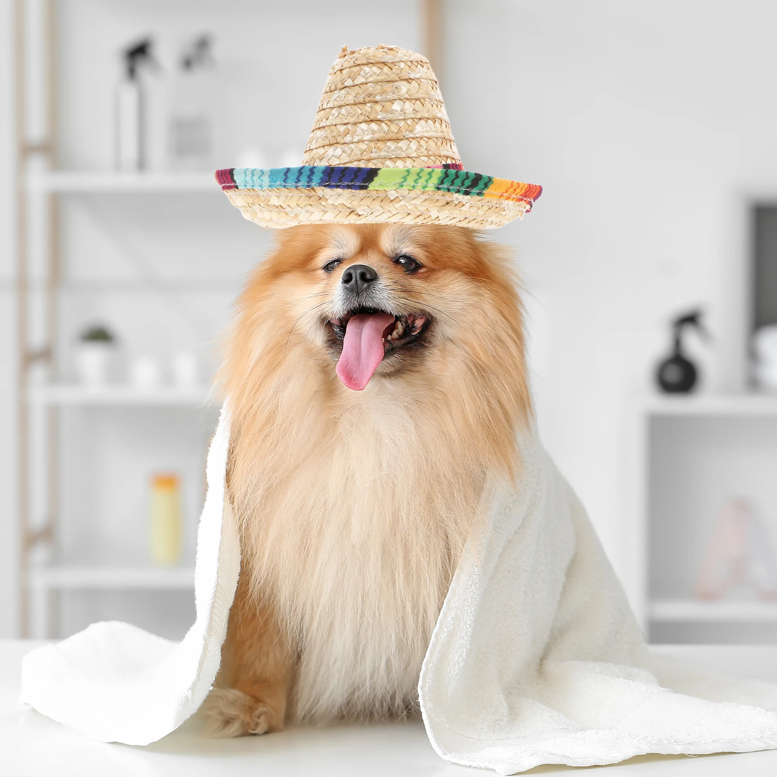 

Straw-woven Sombrero Dog Hat Puppy Accessories Colorful Brim Adjustable Elastic Cord One Size Fits All Pet Dog Straw Hat
