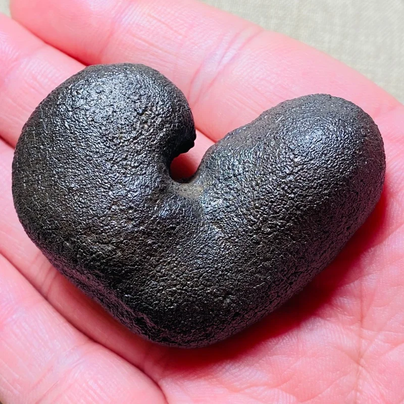 

Natural Stone Mineral Specimen Heilongjiang Meteorite. Energy Healing Holiday Gift