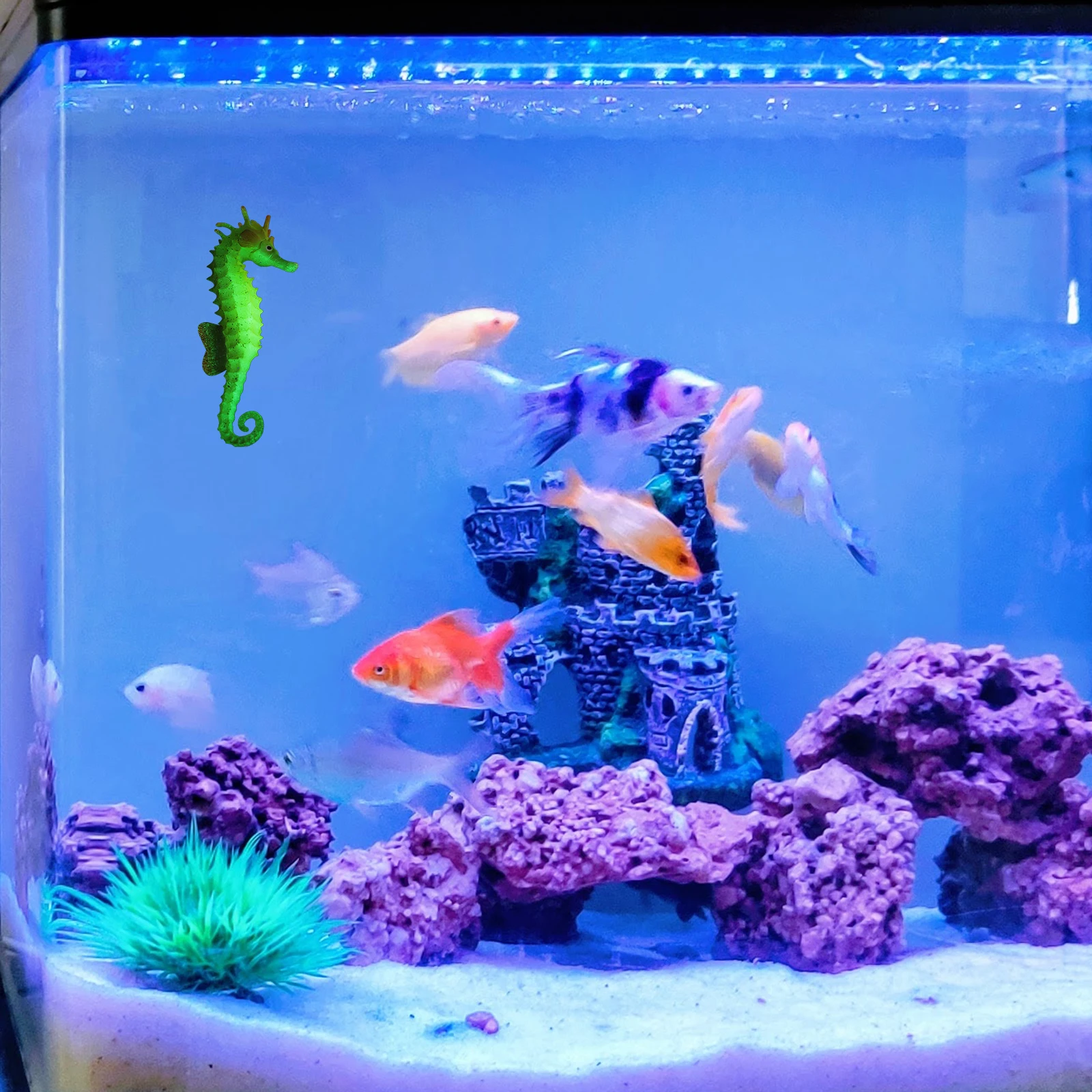 

Seahorse Prop Realistic Aquarium Decor Safe for Fish Easy Clean Versatile Use Birthday Reward Fish Tank Sea Simulation Seahorse