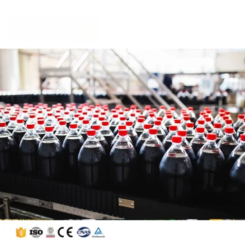Hot Sale SS304 Automatic Three in One Cola Filling Machine Small Scale Water Plant Equipment Custom