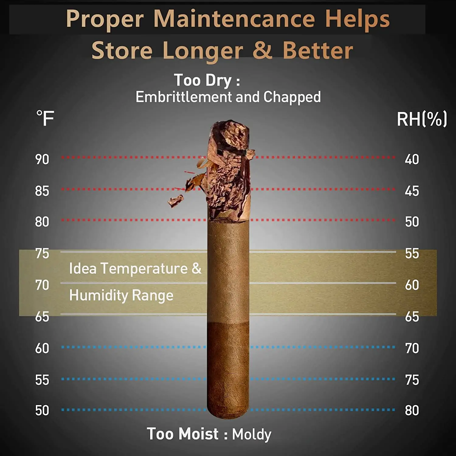 خزانة سيجار بسعة 48 لتر مع وظيفة التبريد، خزانة تبريد إلكترونية لـ 300 سيجار، مصنوعة من خشب الأرز الإسباني، قابلة للتخصيص