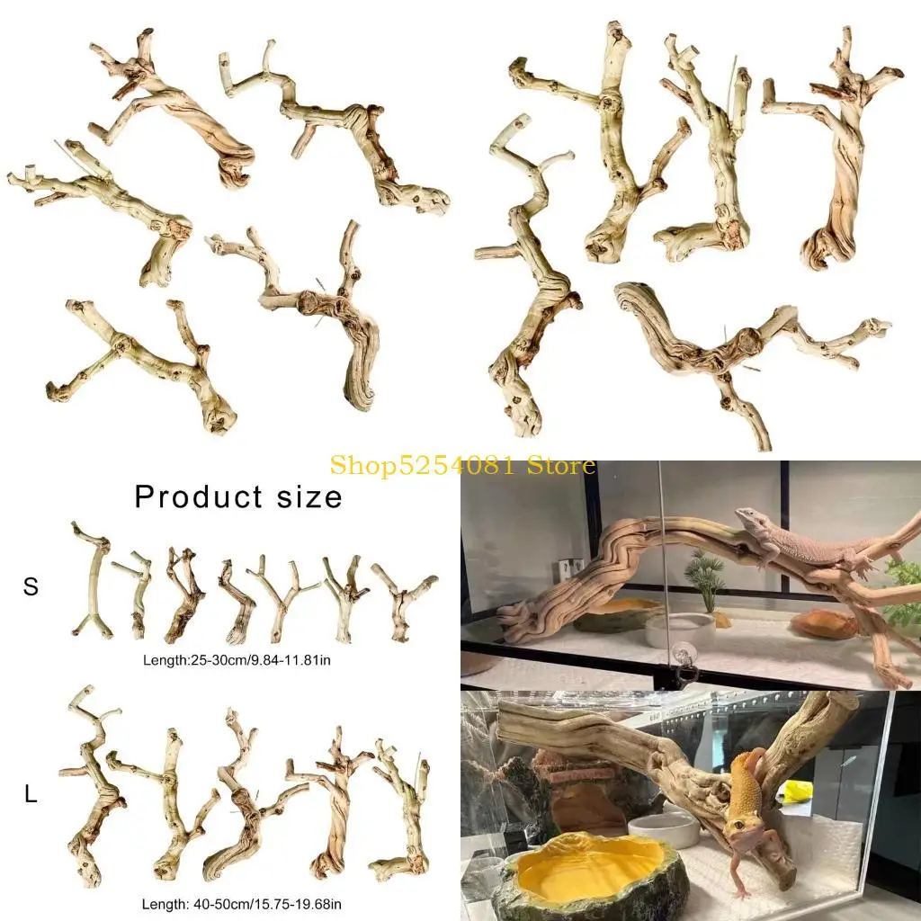 AXYC Tronco madera flotante para lagartos Geckos para terrarios Reptiles Tronco madera Cueva para anfibios Reptiles