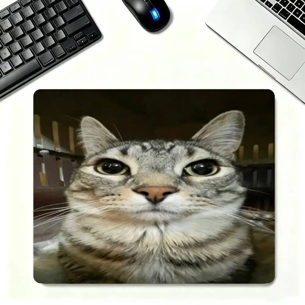 Funny Surprised Guinea Pig Close Up Portrait For Casual Laptop Office Desktop Table Mat