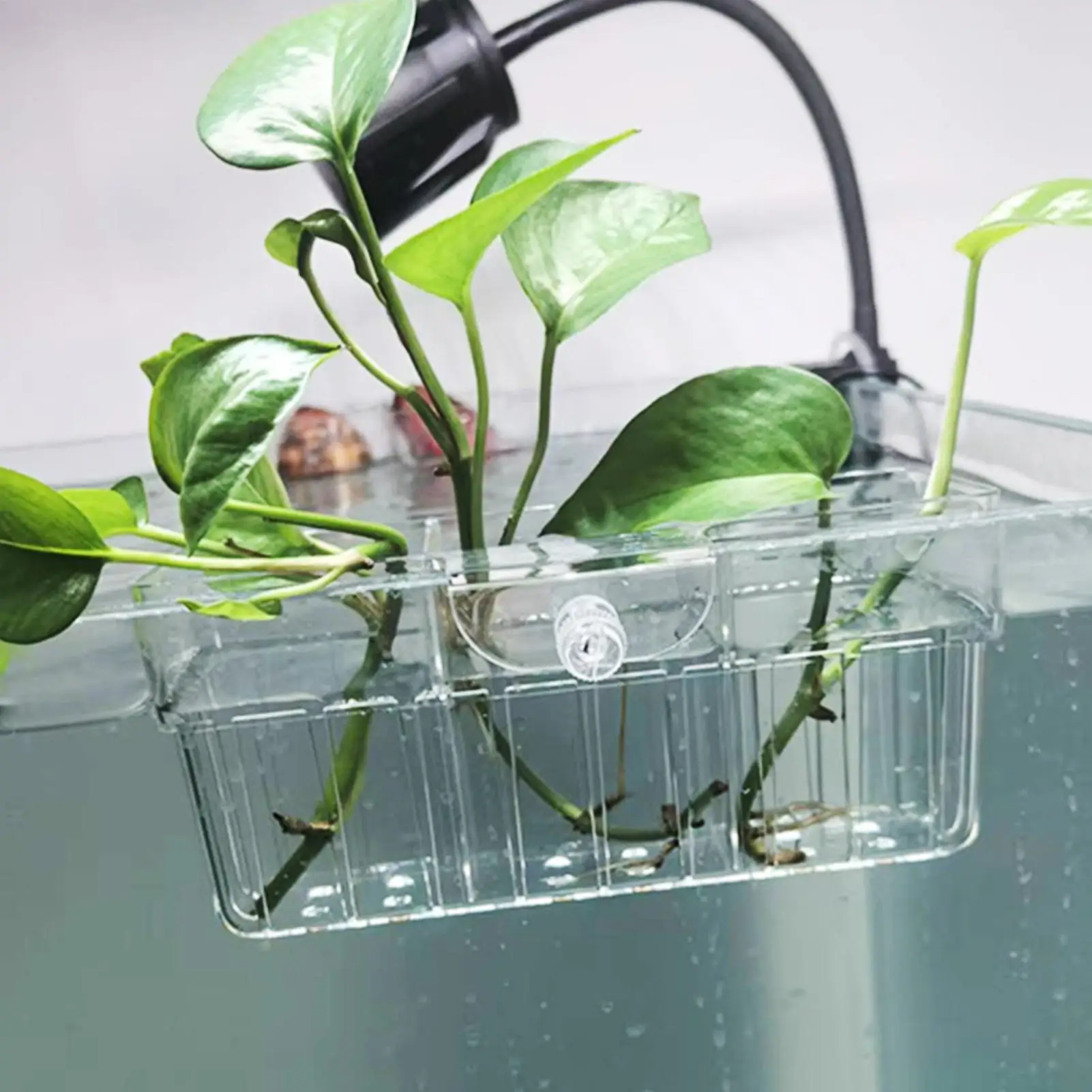 Aquarium Plant Holder 3 Compartment Hydroponic Cups Clear Planter for Betta Tank Decor Aquatic Plants Hydro Farm Sponge Filter