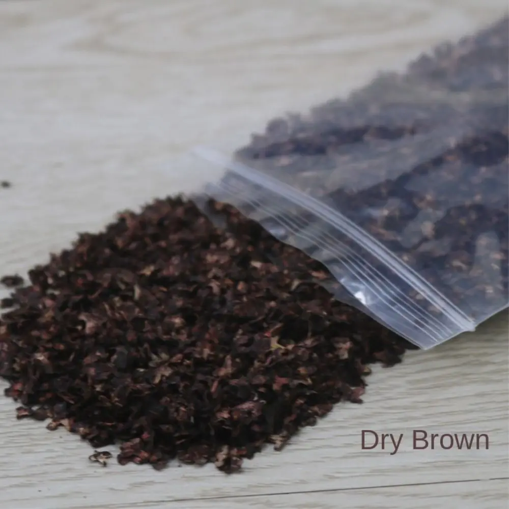 New DIY Micro Landscape Leaves Model Wooden High-fidelity Grass Tufts Accessories Miniature Leaf Adult