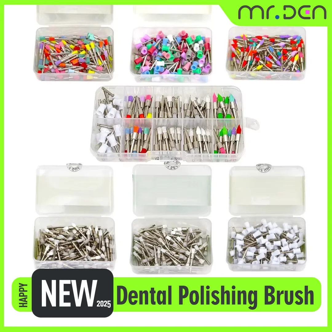 

MR DEN Dental Prophy Brushes Polishing Polisher Disposable Latch type Mixed Color Used for Stain Removal and Polish