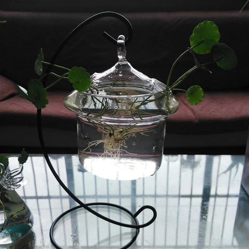 rustic-polished-glass-vase-high-borosilicate-glass-house-water-cultivation-flower-pot-creative-home-decorative-flower-vase