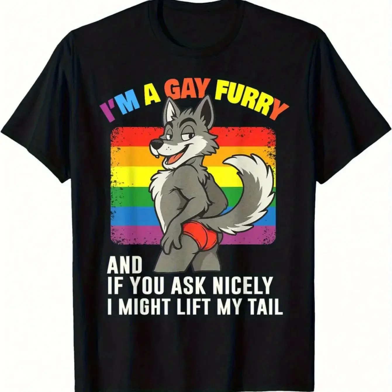 Funny I'm Gay Furry Pride Month LGBTQ Rainbow Fox T-Shirt Y2k Fashion T Shirts Summer Loose and Breathable Print T-shirt Unisex