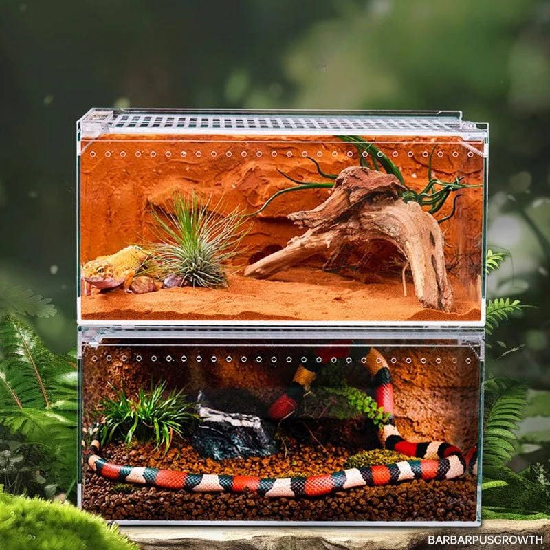 Terrarium dla gadów siedlisko inkubator akrylowa przezroczysta klatka dla gadów Nano-nadrzewna obudowa ptaszników zniszczona obudowa smoka