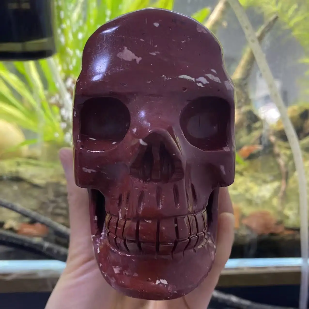 

Natural Red Jasper Crystal Quartz Carved Skull, Energy Gemstone, Spiritual Healing, Home And Office Decoration, Demagnetizing Gi