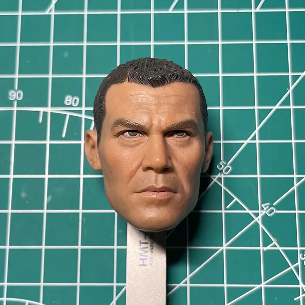 DAMTOYS 78019 1/6 head sculpt model Suitable for 12 inch model