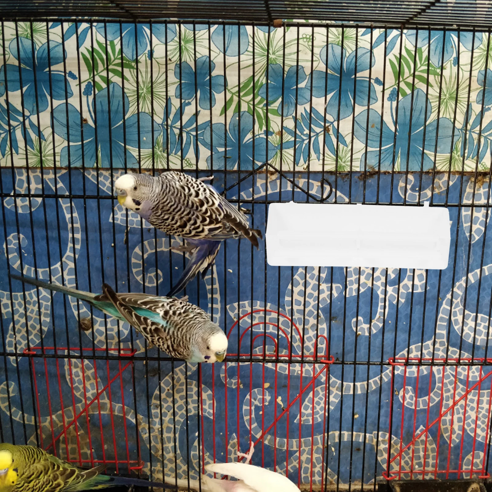 

Parrot Feeding Box，Bird Feeding Case，Birds Feeding Box Box for Parrot Box for Birds