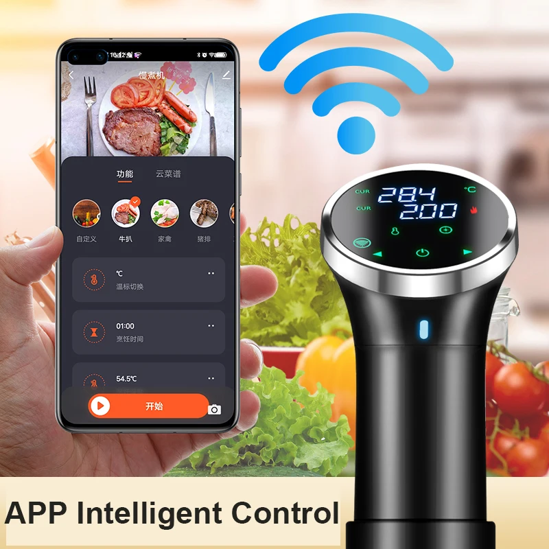 1100W WIFI Vacuum Sous Vide Cooker Immersion Circulator Accurate Cooking with LED Digital Display Tuya APP Slow Cooker Heater