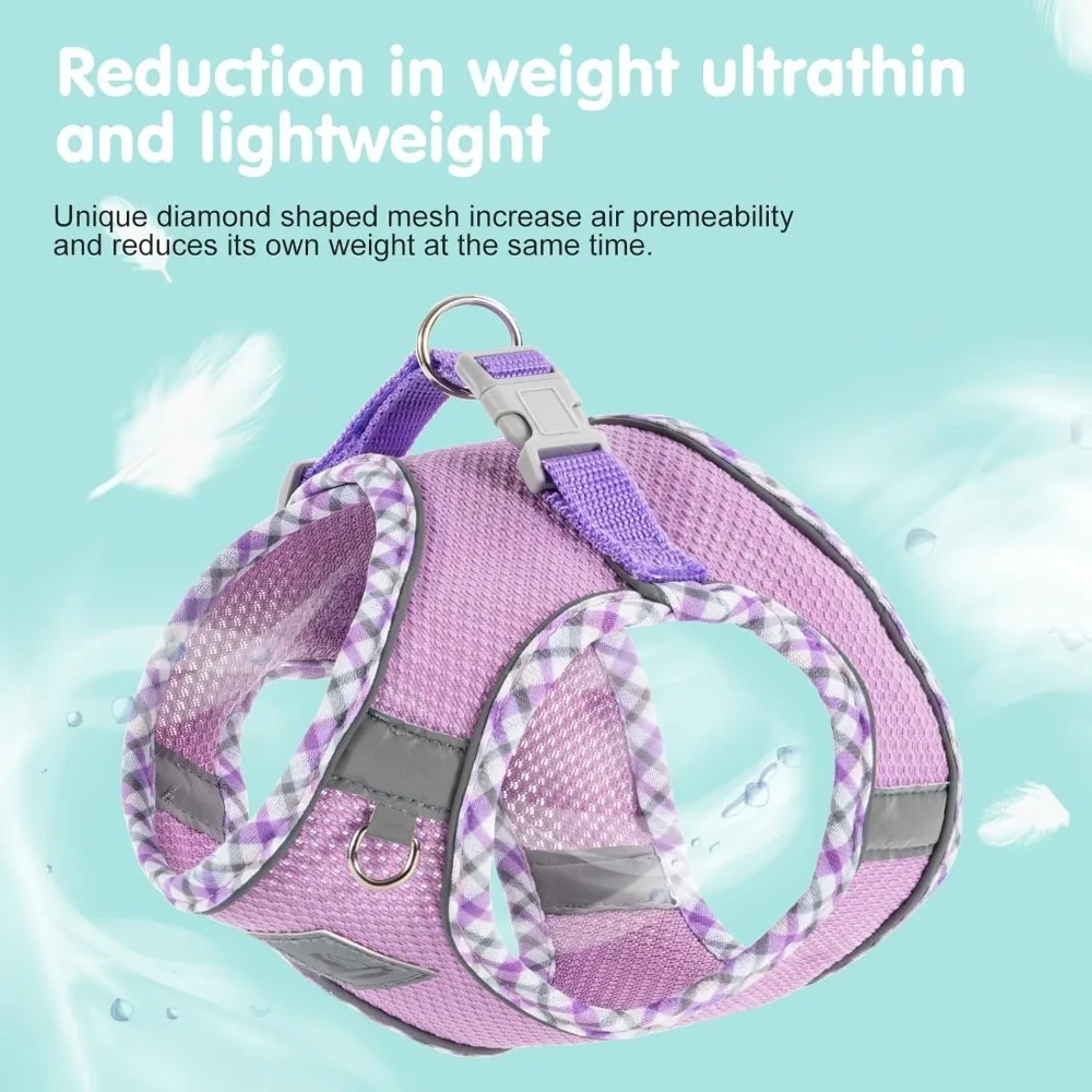 Dog Harness and Leash Set, No Pull Pet Harness for Small Dogs Easy Walking,Soft Breathable Small Dog Harness