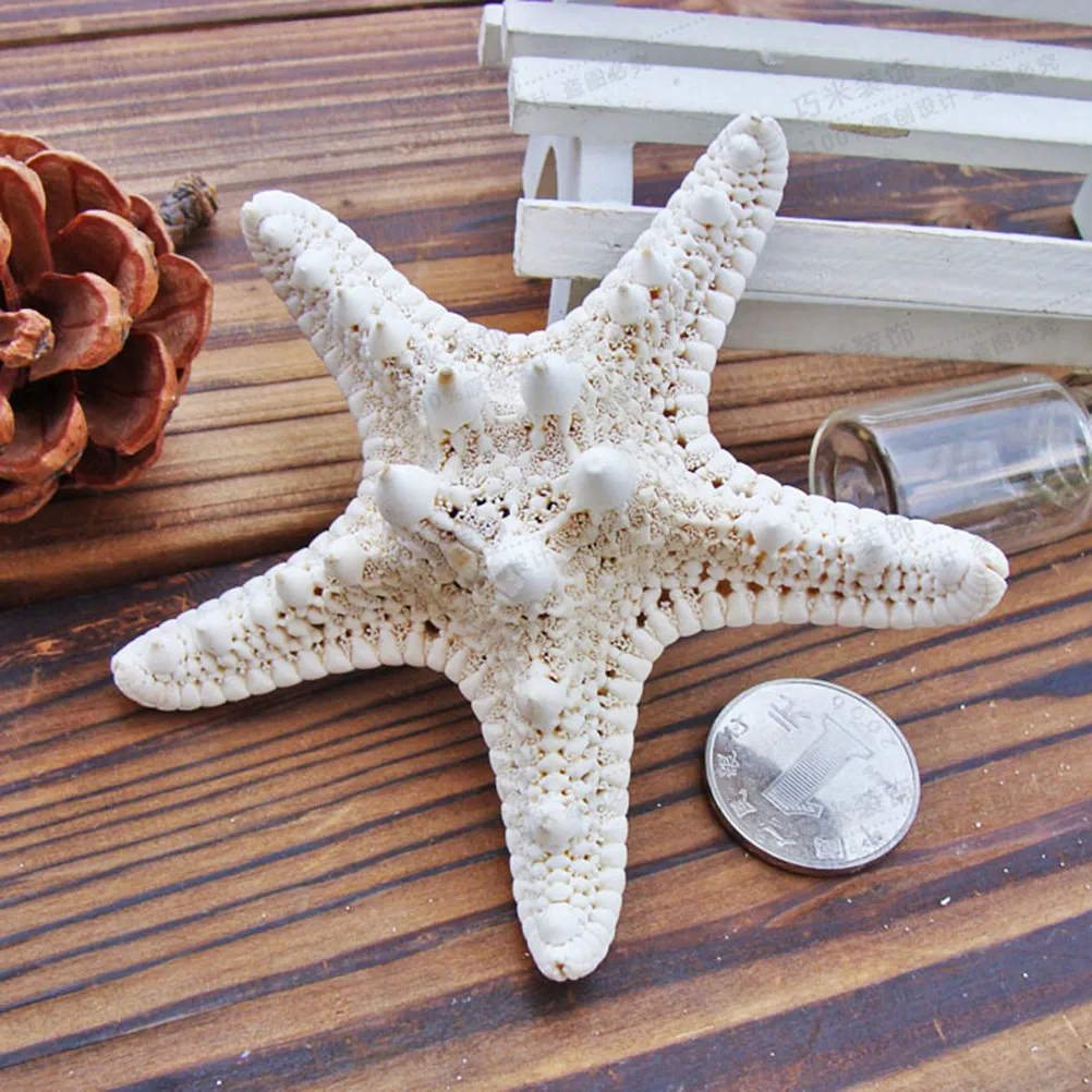 

2Pcs Natural Sea Star Ornaments for diy Starfish Hair Clips making Ocean Themed Starfish Adorn Beach Holiday Dressing Accessory