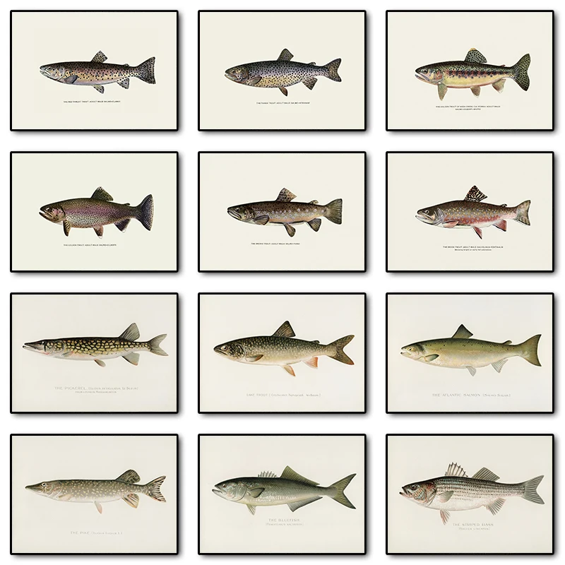 Vintage Bass Fish Trout Fly Fishing Posters Prints Canvas Painting Fisherman Retro Wall Art Picture for Living Room Home Deco