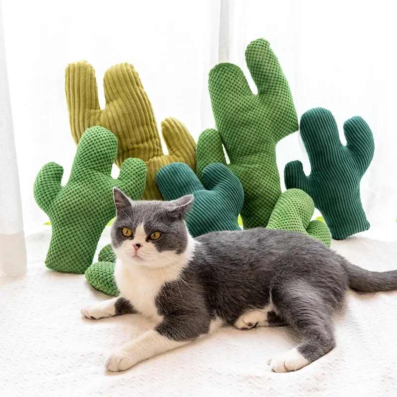 Pluche Kat Speelgoed Tanden Slijpen Kattenkruid Katje Spelen Kussen Klauwen Duim Bite Kat Mint Voor Katten Grappige Cactus Interactief Speelgoed