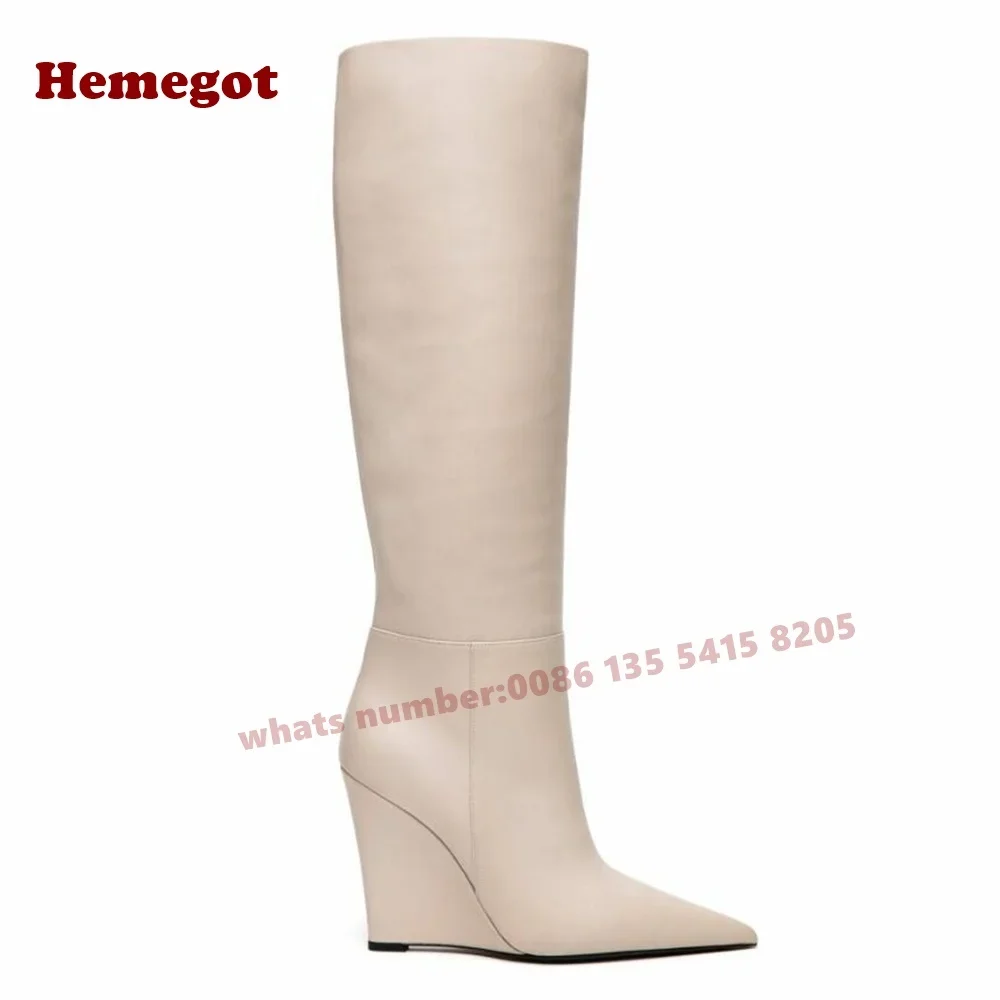 Brown Suede Wedges Knee High Boots 2025 New Pointy Toe High Heels Slip On Women\'s Long Boots Solid Casual Warm Shoes Luxury Sexy