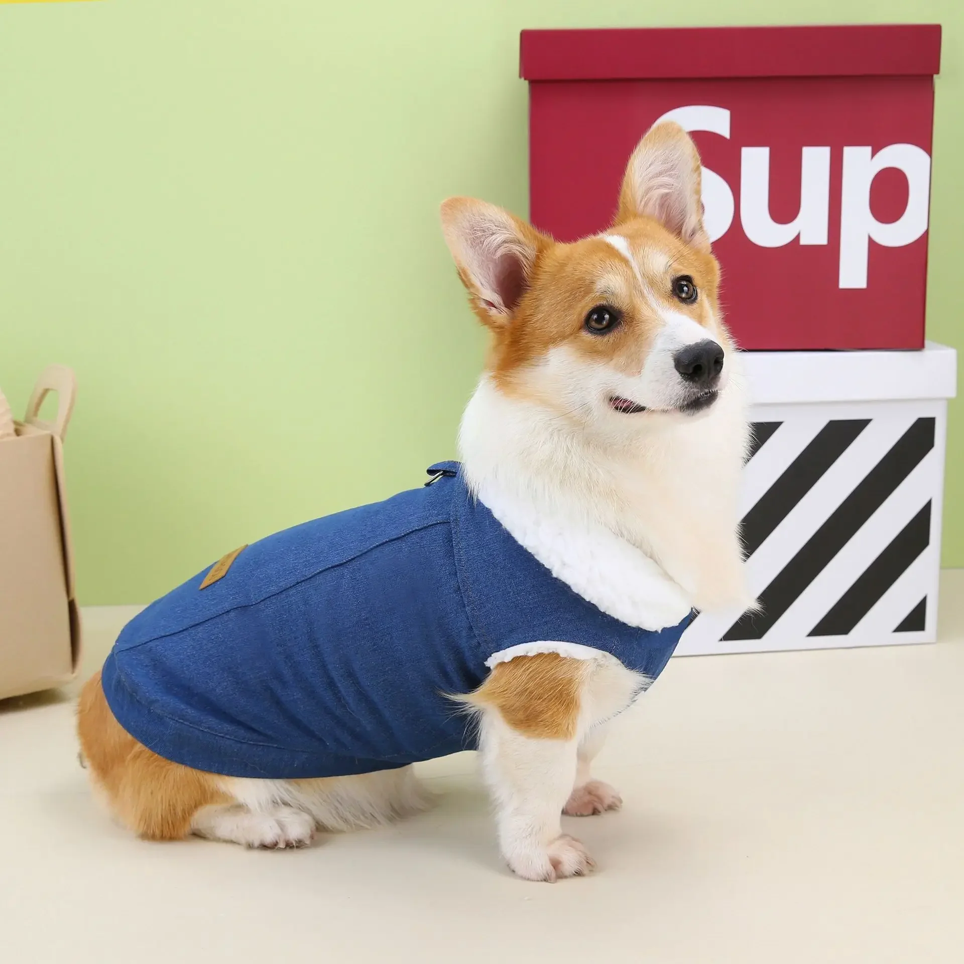 Corgi Sausage Big Dog Clothes Autumn Winter New Short-legged  Pet Coat Denim Cotton-padded  Designer Dog Clothes