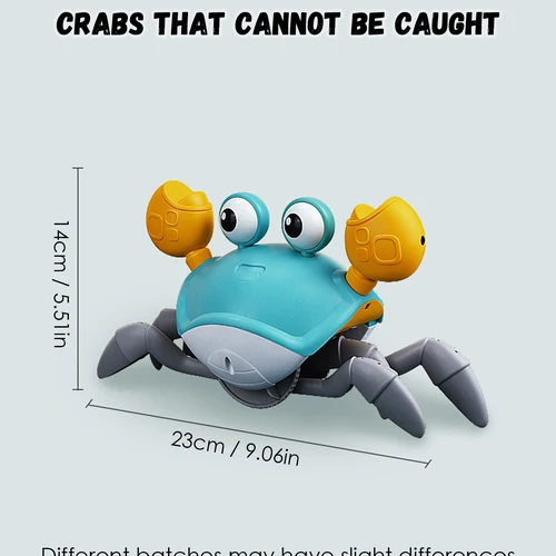 לימוד וחינוך