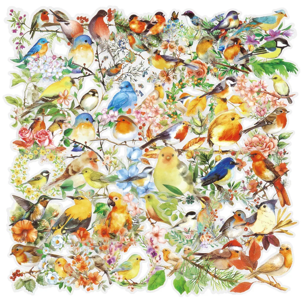 Avian Graffiti Sticker Pack 50 Sheets, Transparent PET Cute Bird Stickers for Scrapbook and Daily Gadget RecordingYourLife Store