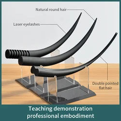 Large Eyelash Model Display Teaching Training Demonstration Tool Training Schools for Teaching False Eyelashes Tool Accessories