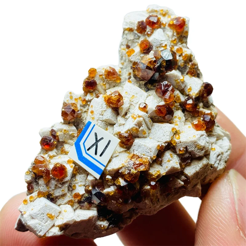 

Natural garnet Mineral Specimen Energy Gem Crystal Healing Holiday gift Home decor