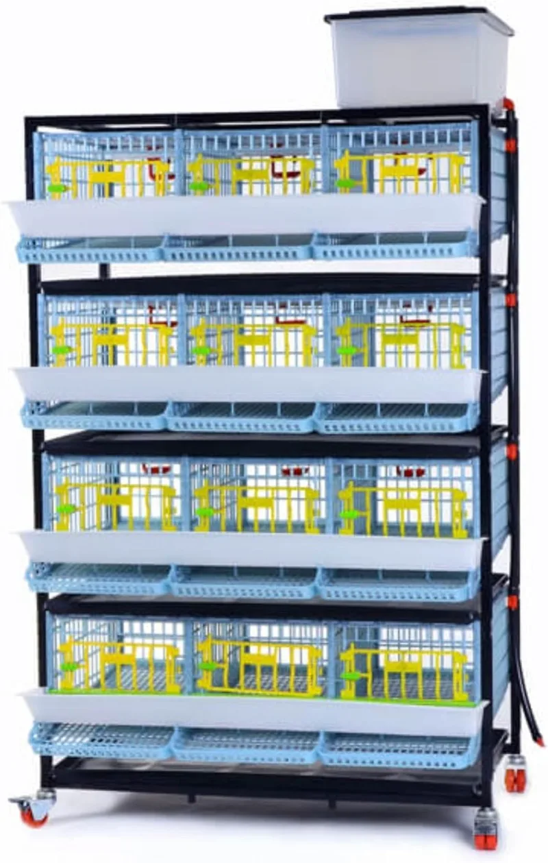 Jumbo Quail Breeding Cage 4 Layer Stackable Quail Coop Easy Clean Rust-Free Easy Egg Collection Trays Removable Middle Walls