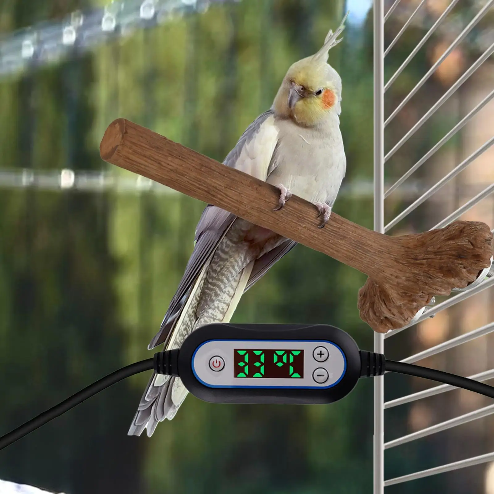 Heated Bird Perch Bird Cage Accessories Bird Cage Heater Bird Warmer Parrot Stand for Large Small Medium Canaries Cockatiel