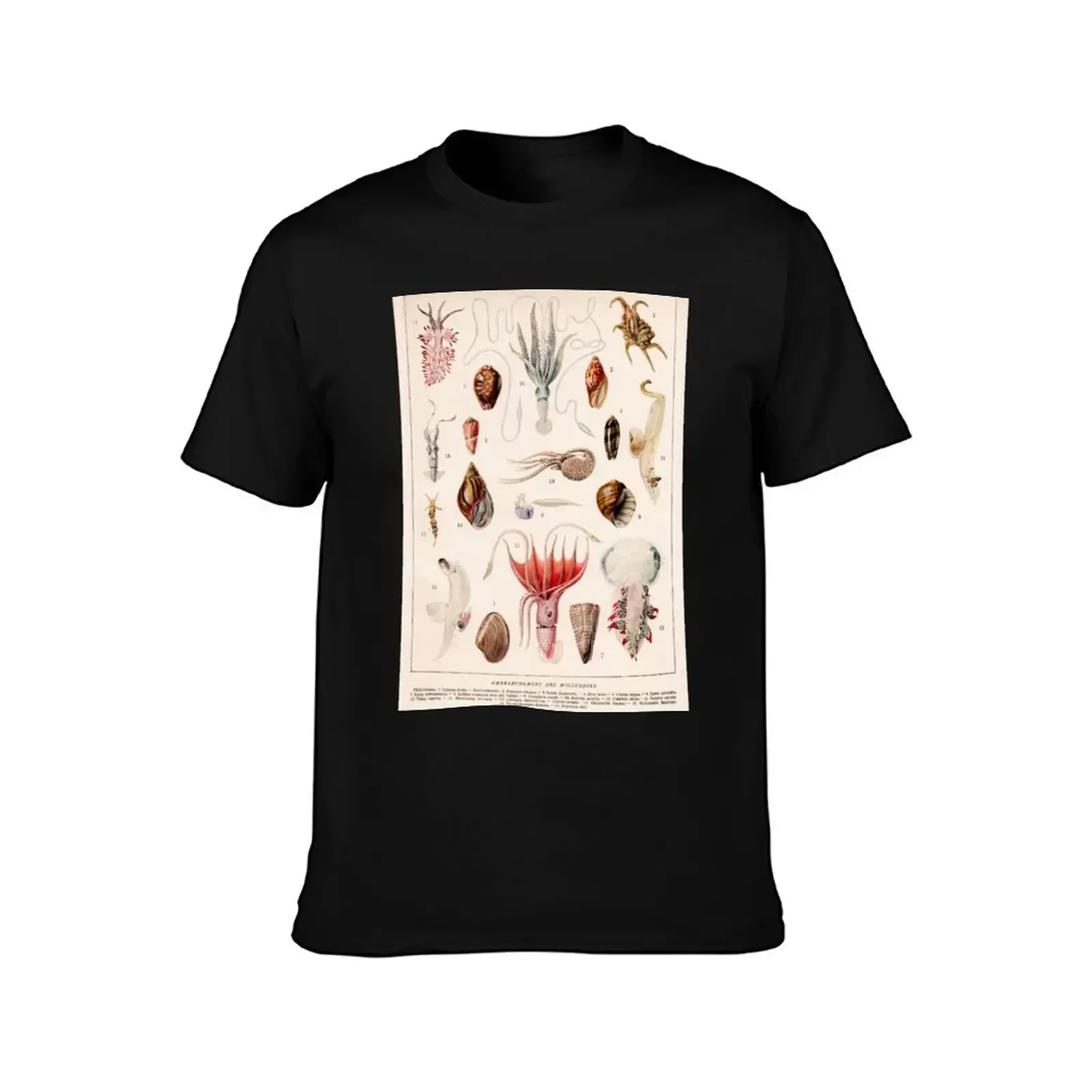 Adolphe Millot - Mollusques 01 - French vintage Zoology Illustration T-Shirt Trendy Casual Short Sleeve Shirt(4XL 5XL 6XL No Shipping)