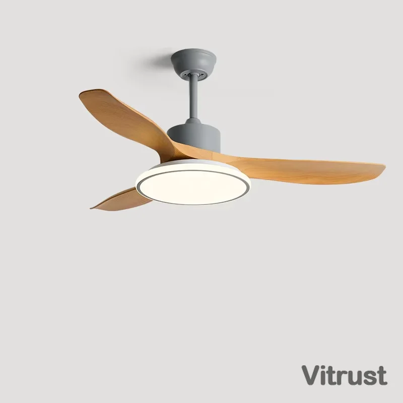 Fashion Ceiling Fan Lamp with LED Lamp and Remote Control Living Room Bedroom Ceiling Fan