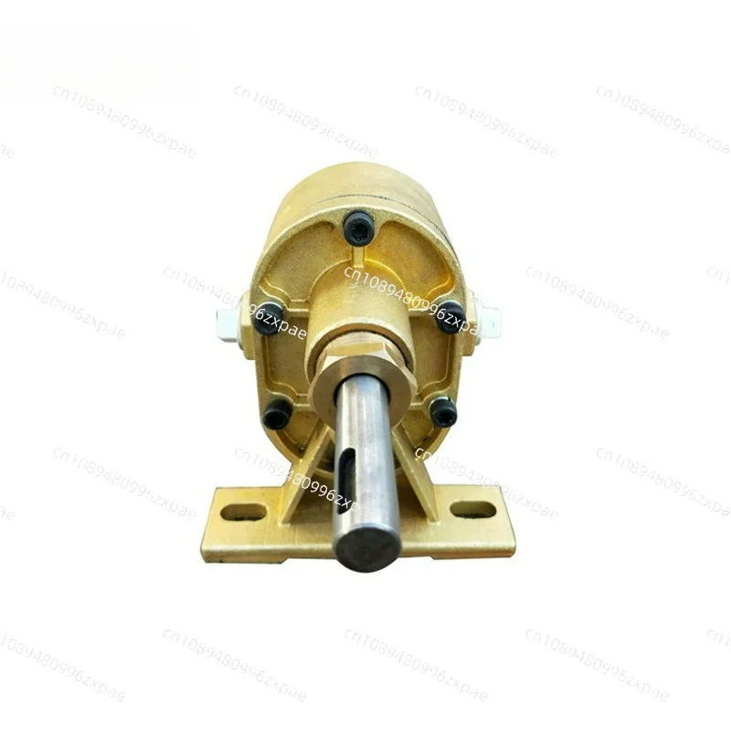 Electric Cast Copper Glue Gear Pump TJB1.8 Glue Pump For Packaging Machine Vacuum Coating Machine