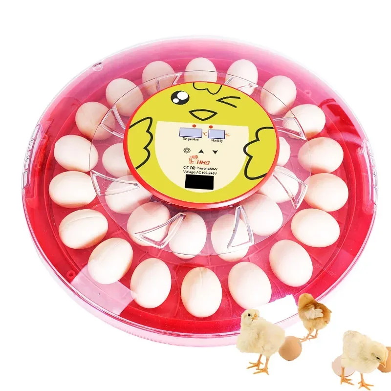 

Digital Auto Egg Turner Display Large Transparent Digital Round 30 Egg Incubator For Hatching Eggs Chicken Duck Pheasant Quail