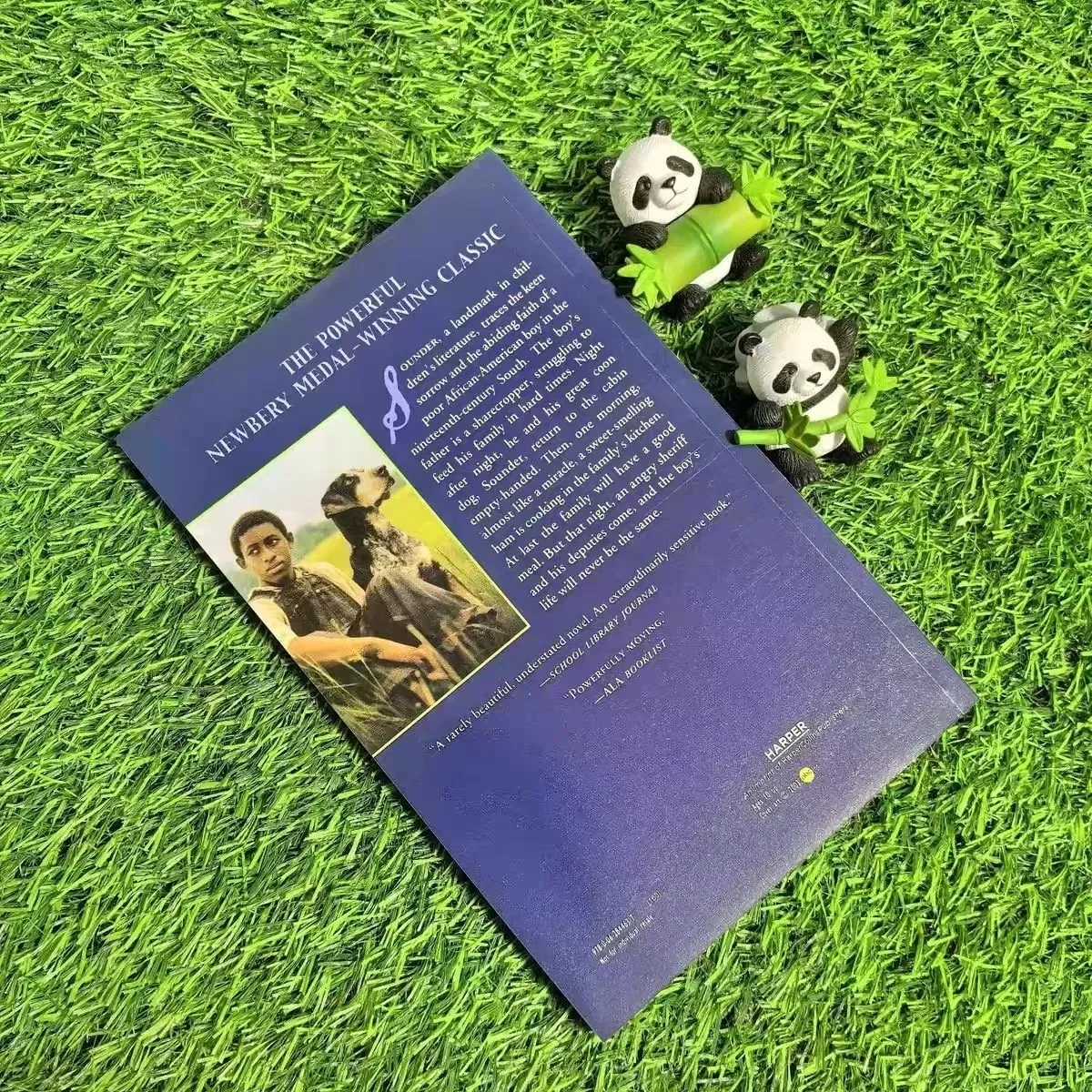 The Profound Friendship Between An African American Boy and His Hunting Dog Amidst Racial Discrimination and Social Injustice