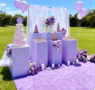 

2pcs/set)Shinny gold Metal rectangle Display Plinth Wedding Pedestal Columns stand for wedding stage qq22