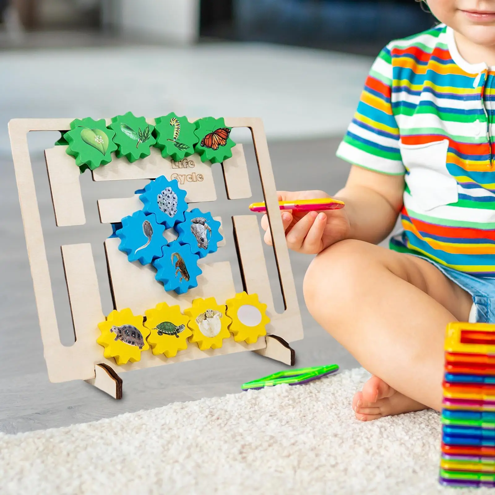 Kognitives Spielzeug Matching-Spiel Lehrmittel Vorschule Denken Training sensorische Board Spielzeug für Kleinkinder Jungen Kinder Mädchen Party Gunst