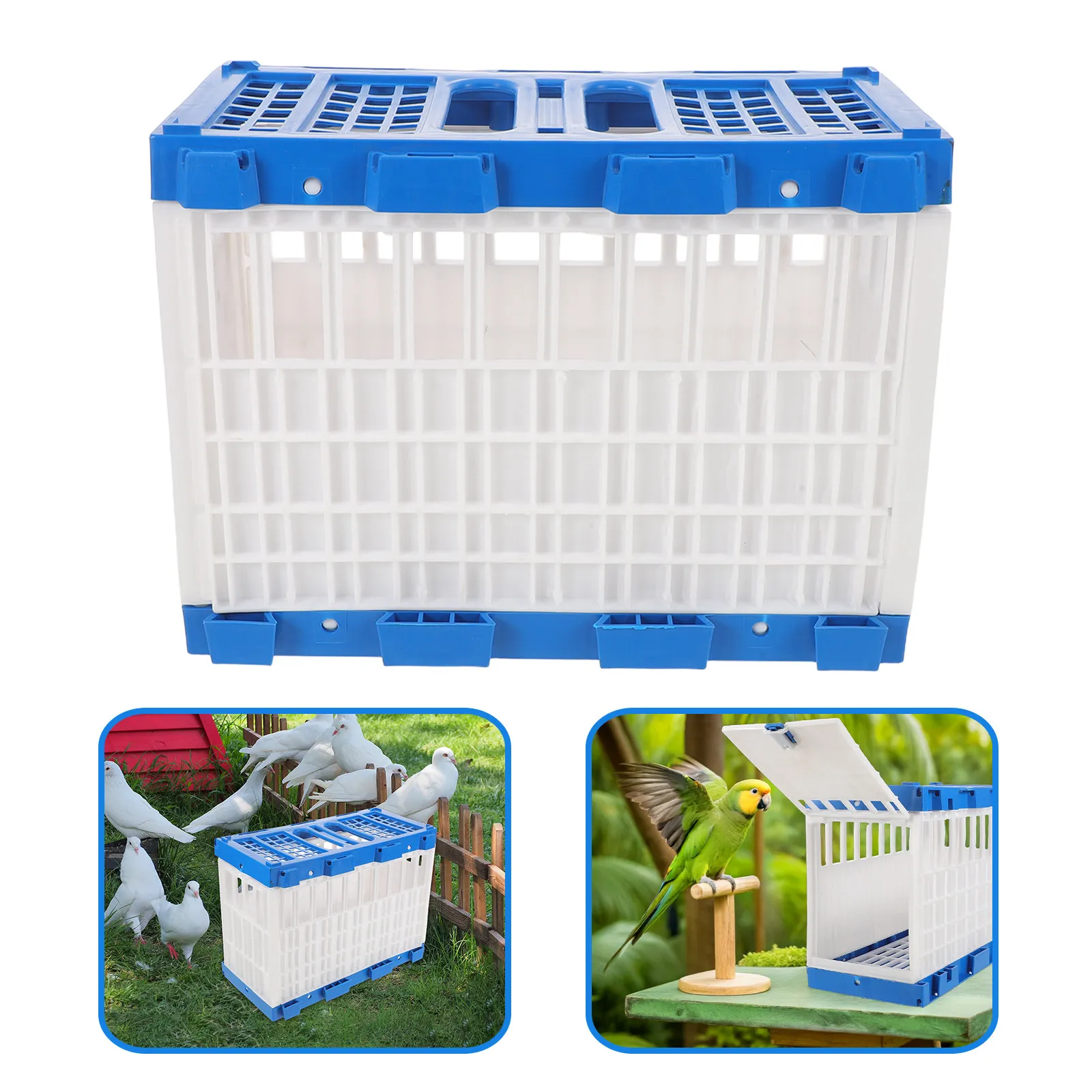 

Portable Pigeon Basket Plastic Cage 32x24.5x16.5cm Racing Carrier for Training Transport Homing Club Use Lightweight Bird Travel