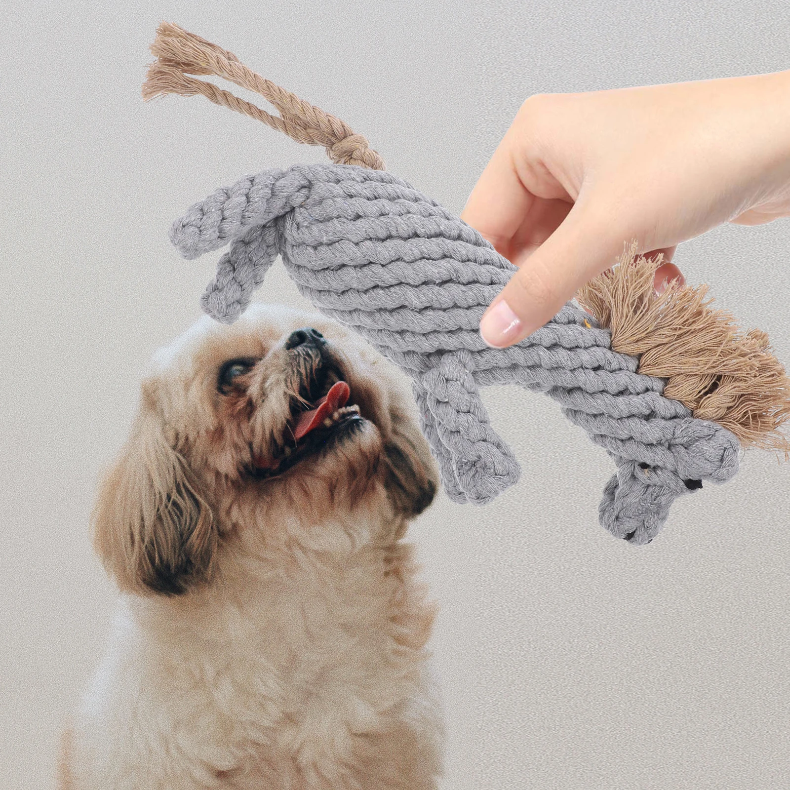 

Cotton Rope Dog Chew Toy Durable Cleansing Bite Squeaky Interactive Pet Plaything Teeth Cleaning Molar Toys For Puppies Small